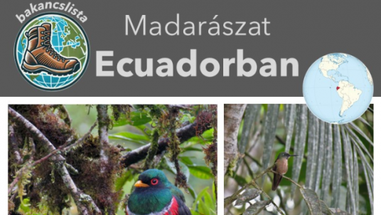 Bakancslista - Madarászat Ecuadorban